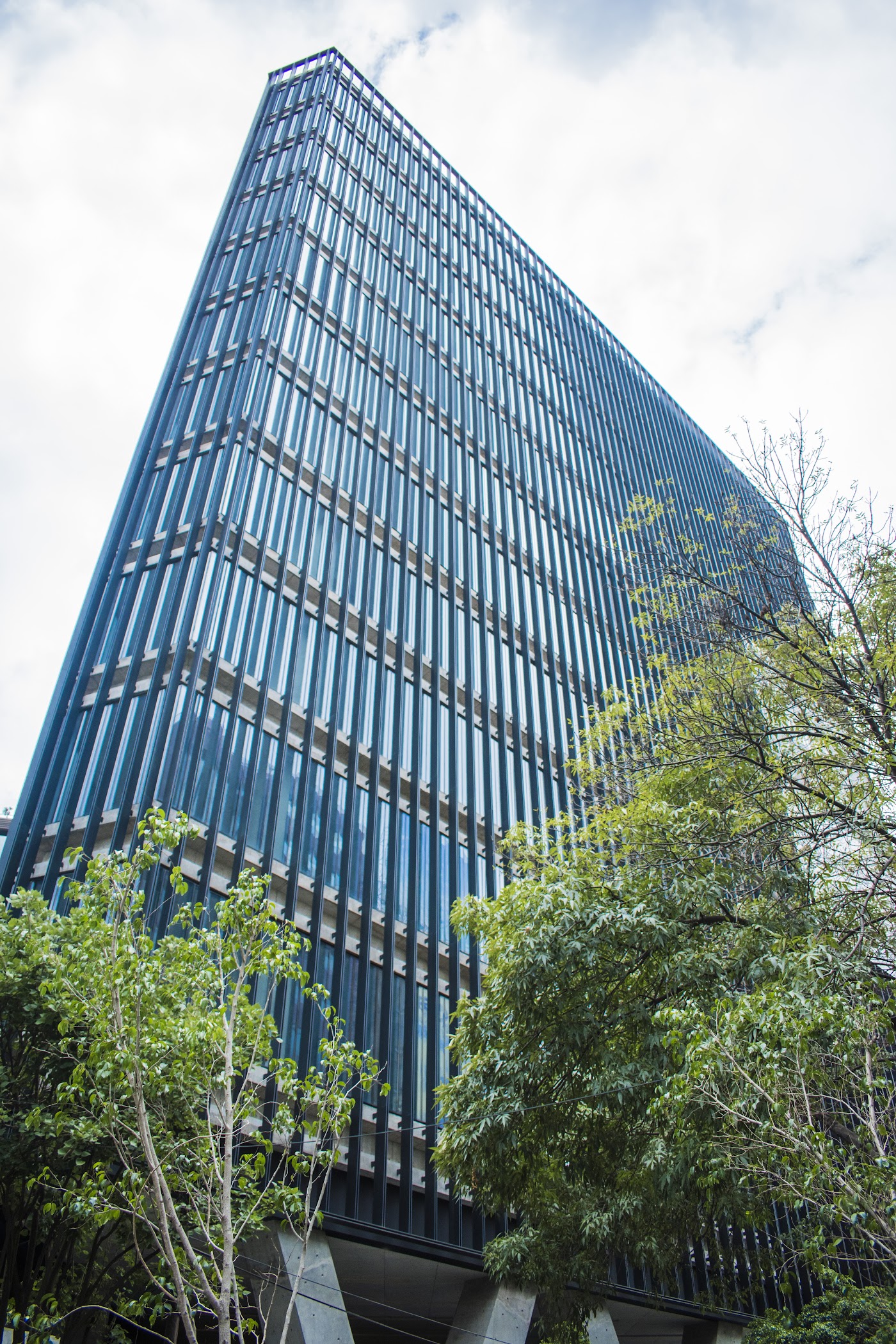 Foto real de Work Polanco